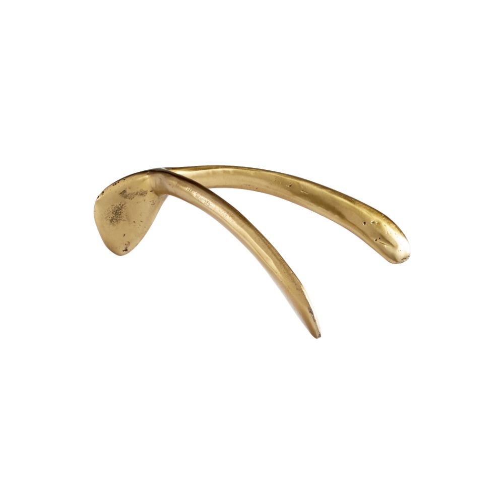 Cyan Design 11238 Wishbone Token in Aged Brass