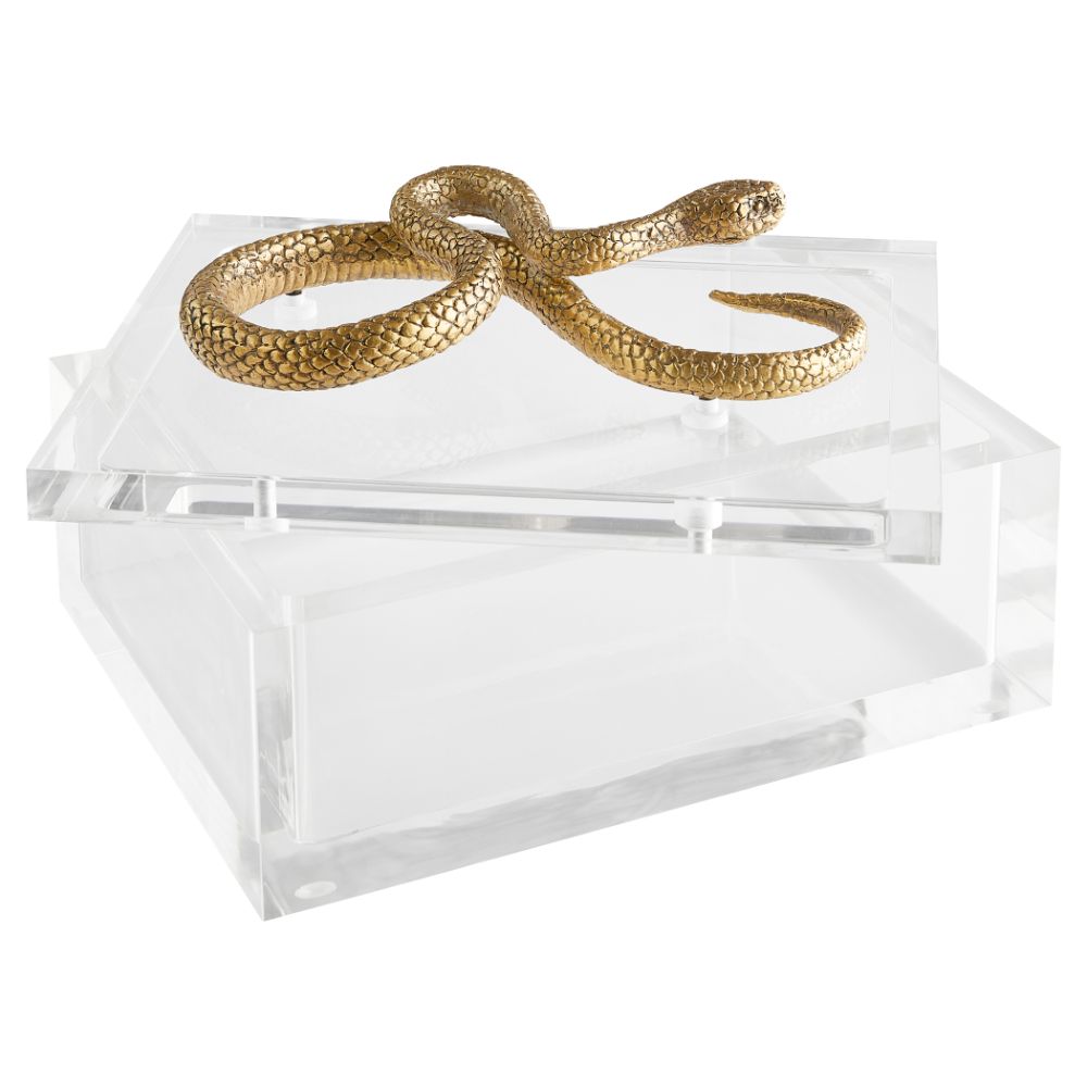 Cyan Design 11763 Snake Box| Clear | Brass