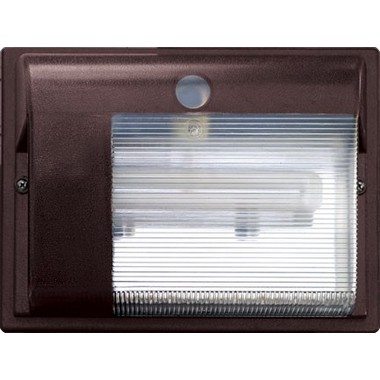 Dabmar Lighting DF6426-BZ Polycarbonate Surface Mounted Wall Fixture in Bronze
