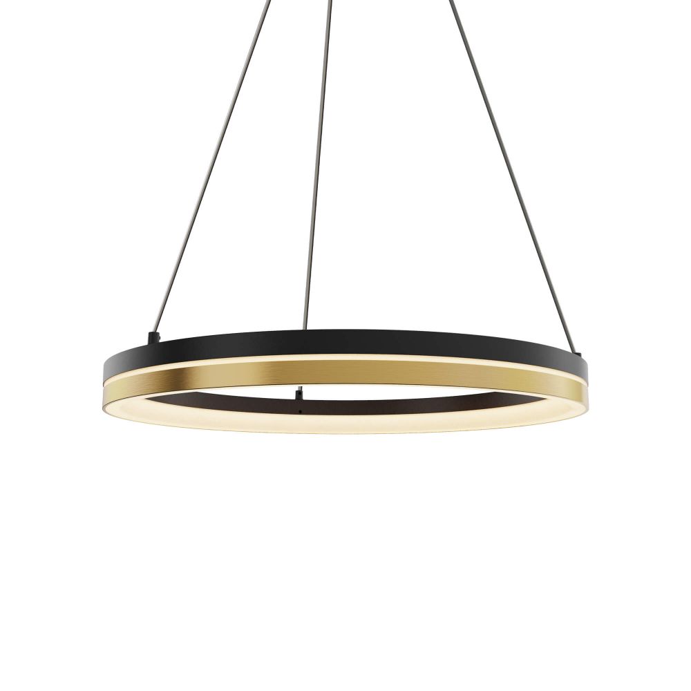 Dals Lighting PDR14-CC-BG Double Ring 14" Pendant in Black Gold