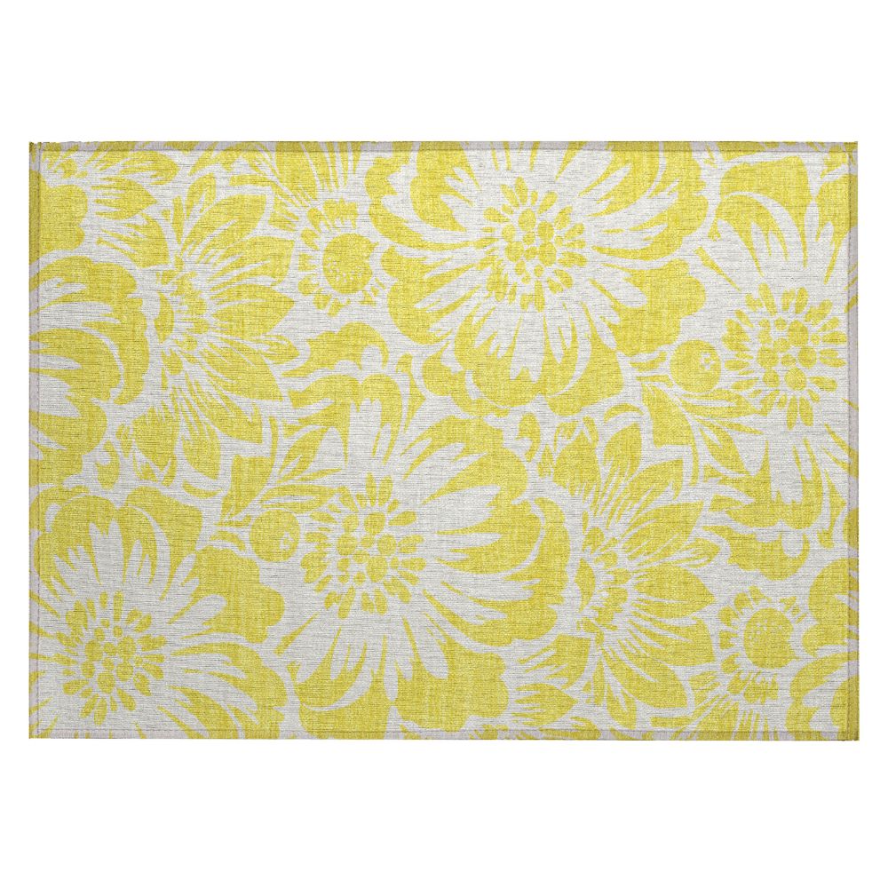 Dalyn Rugs ACN551 Machine Washable Indoor/Outdoor Chantille ACN551 Gold 1