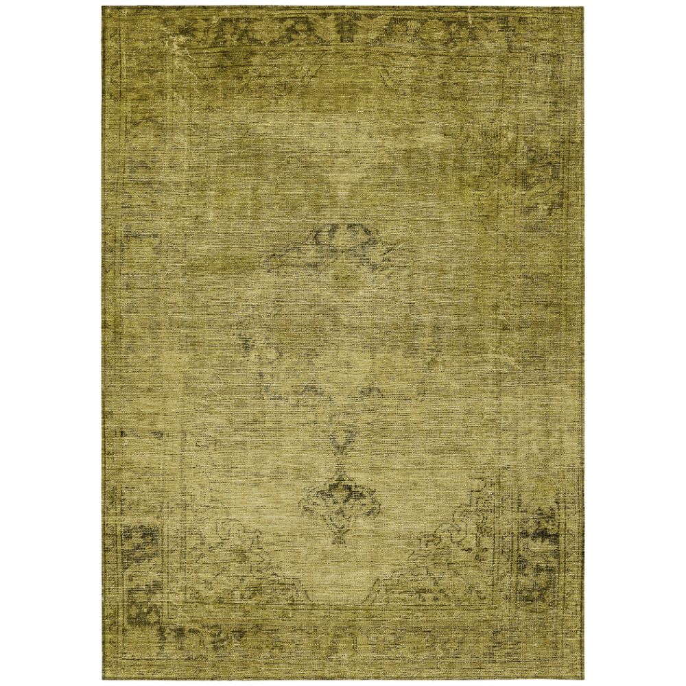Addison Rugs ACN658 Chantille Gold 10