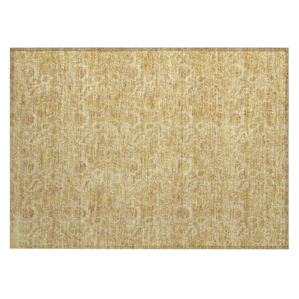 Addison Rugs ACN661 Chantille Gold 1