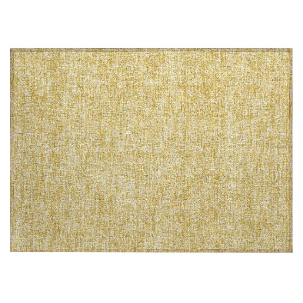 Addison Rugs ACN691 Chantille Gold 1
