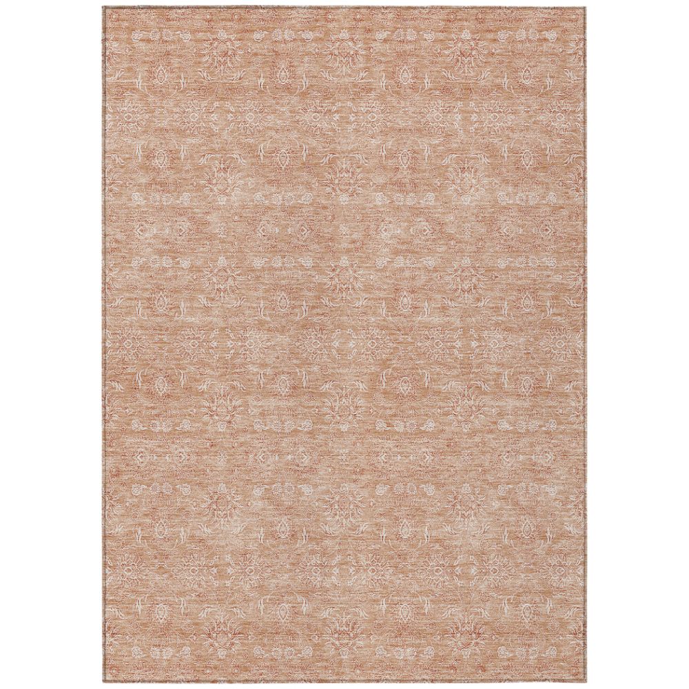 Addison Rugs ACN703 Chantille Coral 5