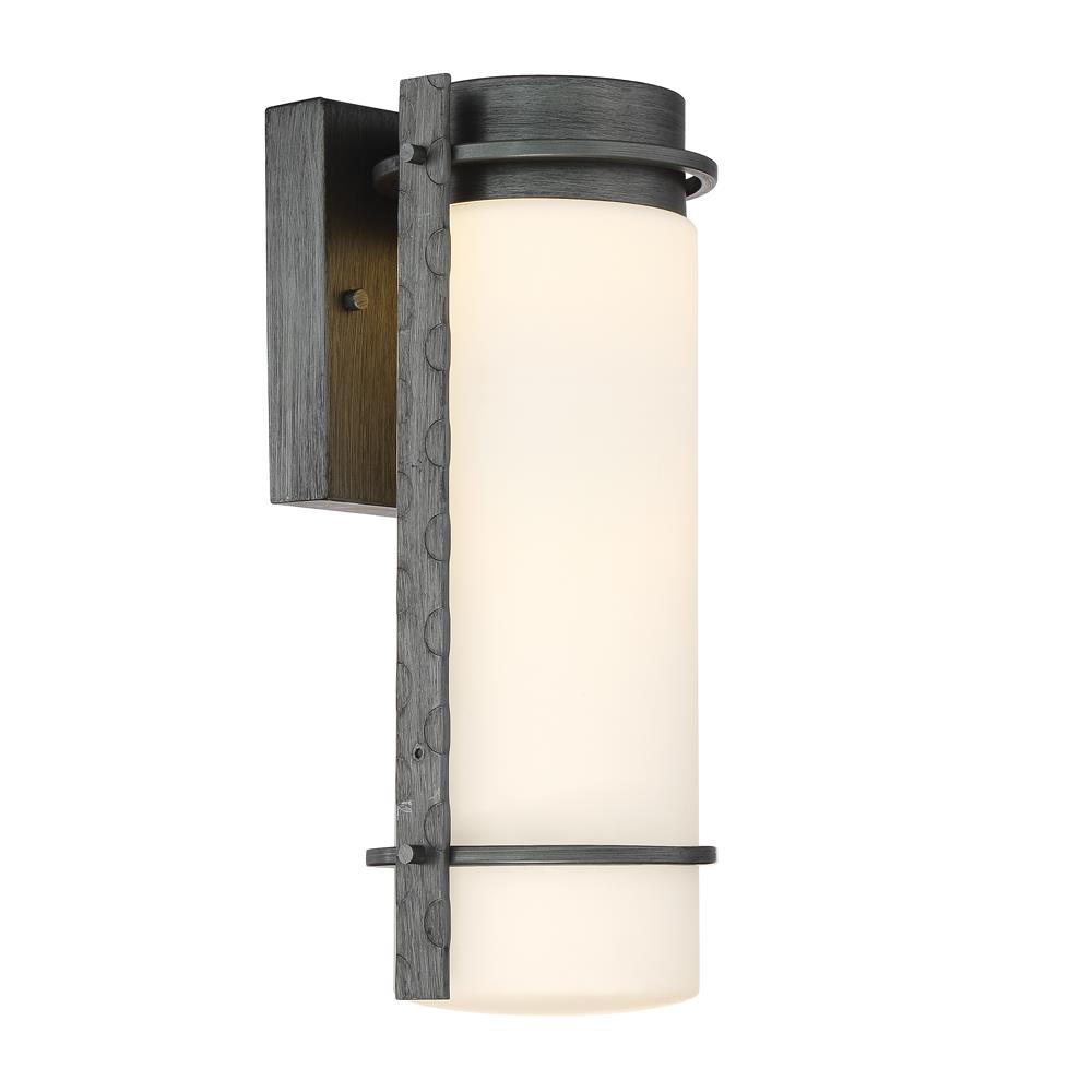 Designers Fountain LED34311-WI Aldridge LED Wall Lantern  in Weathered Iron