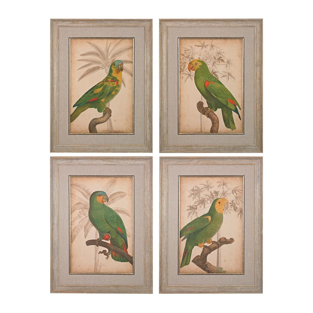ELK Home 151-018/S4 Parrot And Palm I, II, III, IV - Fine Art Giclee Under Glass in Washed Wood