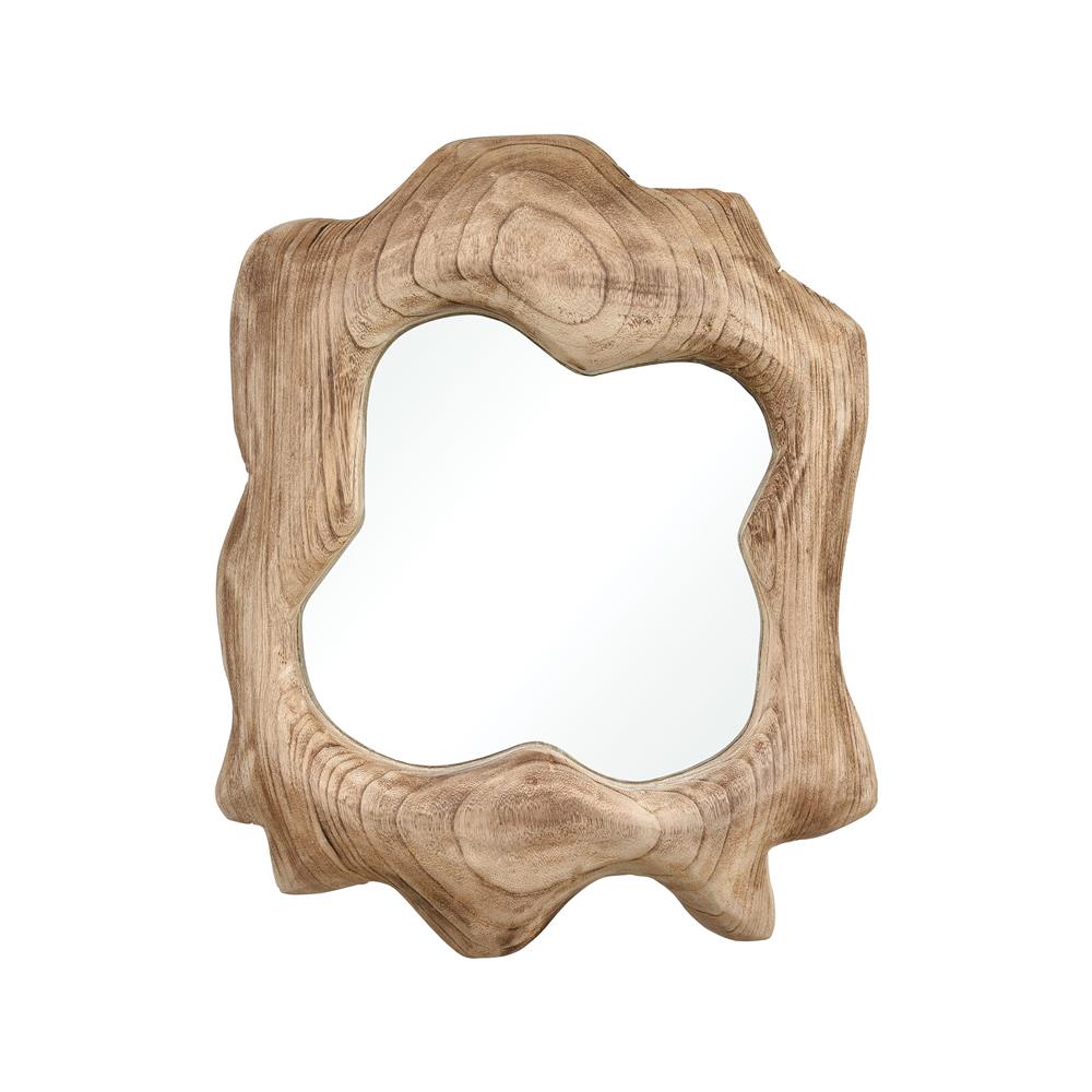 Elk Home 2181-113 Land to Air Mirror in Natural with Grey Wash