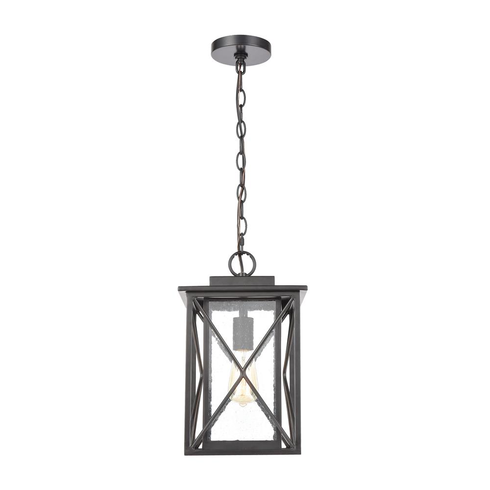 Elk Lighting 46753/1 Carriage Light 1-Light Hanging in Matte Black with Seedy Glass