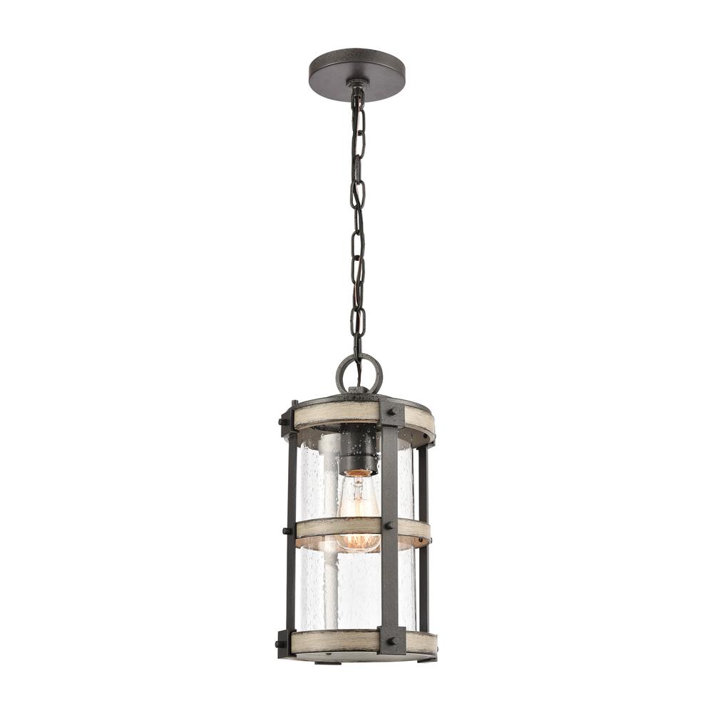 ELK Lighting 89147/1 Annenberg 1-Light Outdoor Pendant in Anvil Iron and Distressed Antique Graywood with Seedy Glass