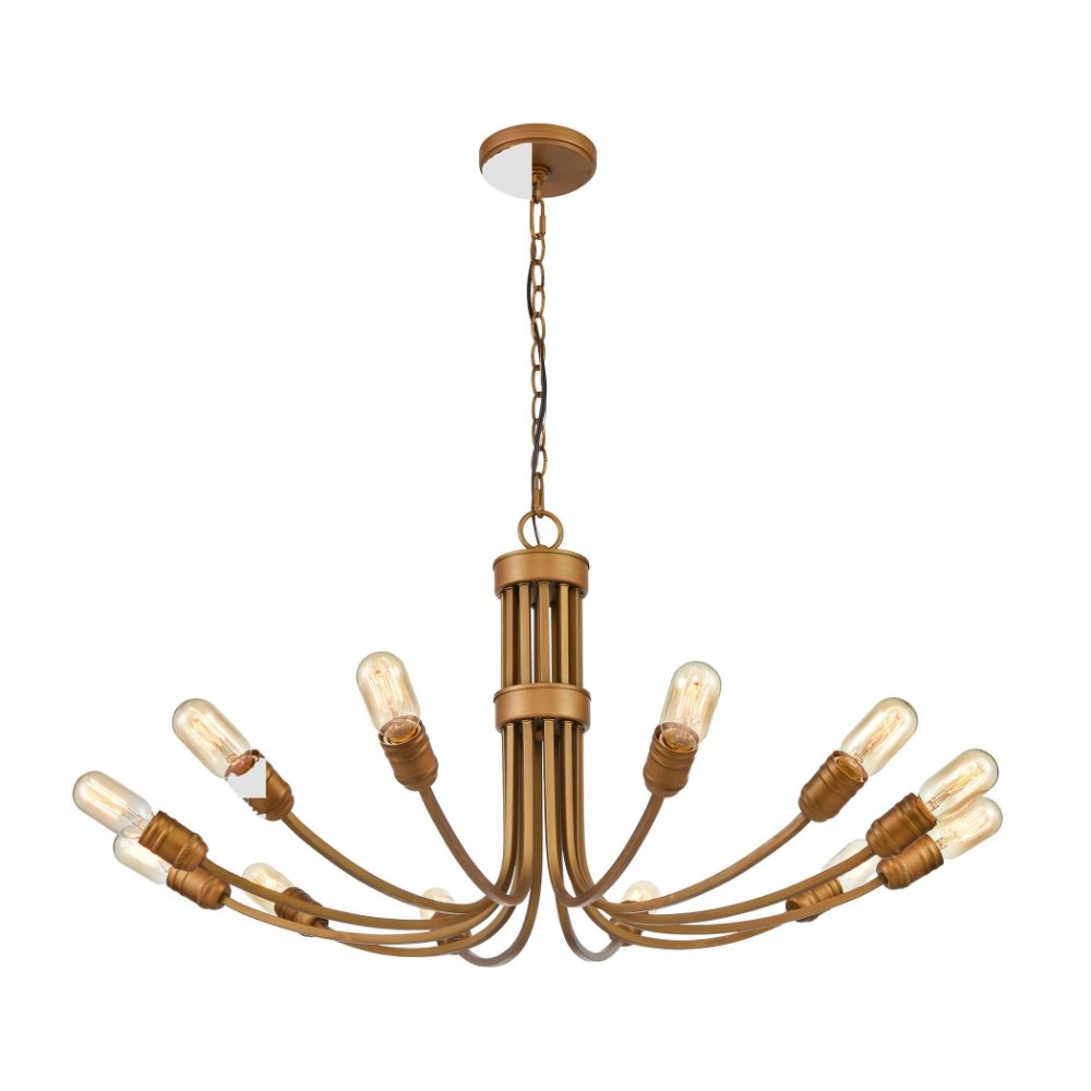 Elk Home D4454 Conway 12-light Chandelier in Painted Aged Brass