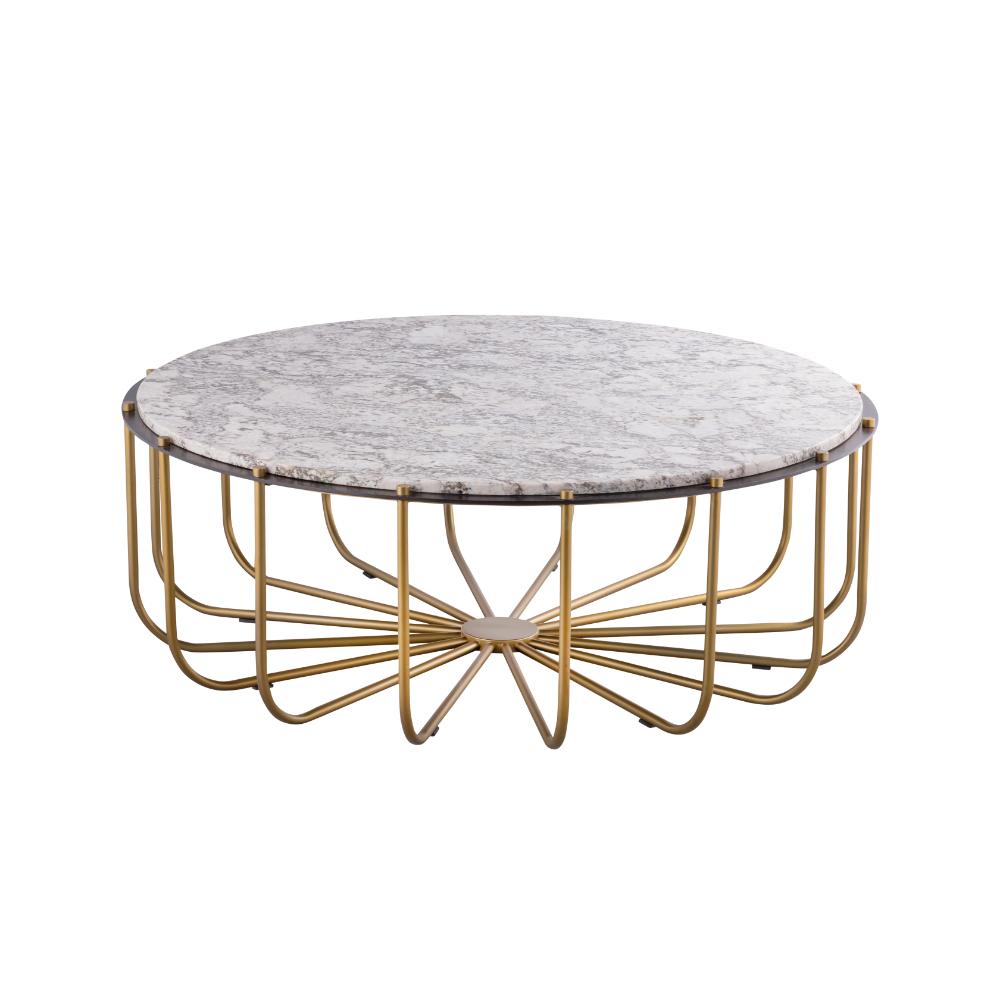 Elk Home H0805-11453 Demille Coffee Table - Satin Brass