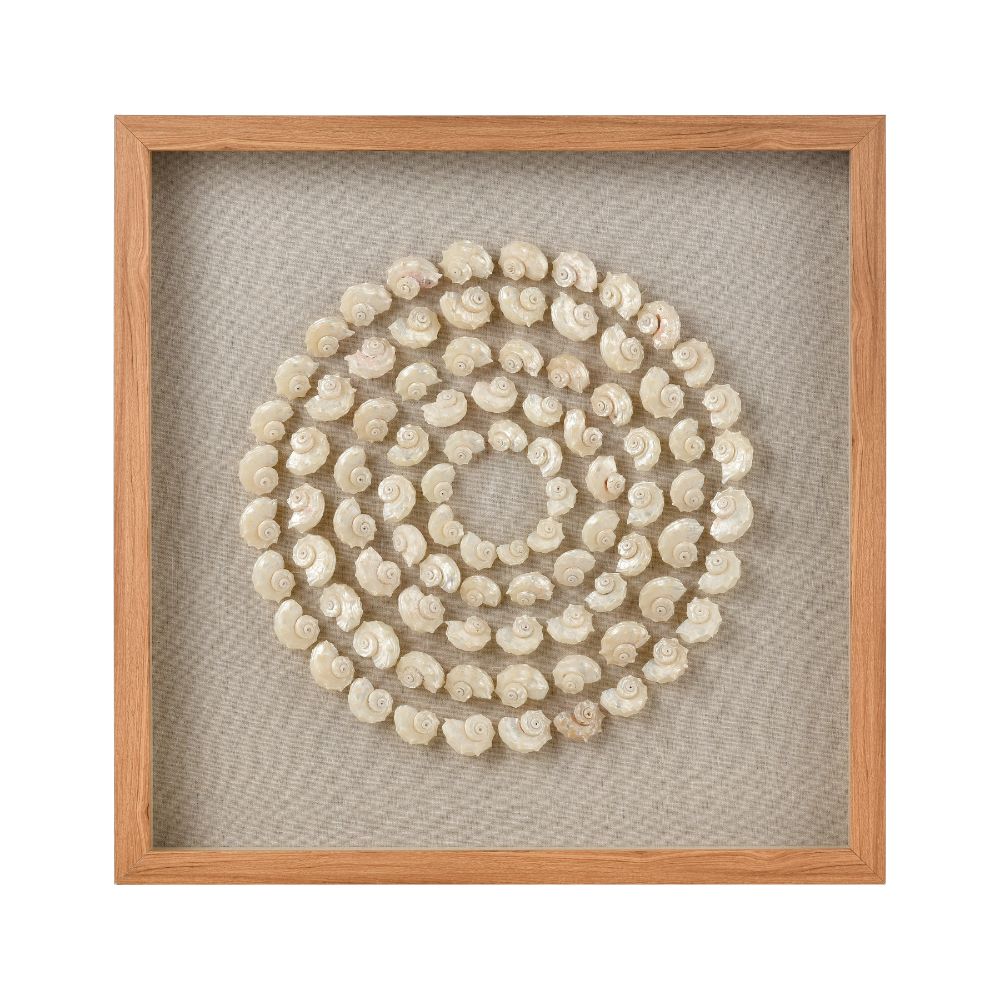 Elk Home S0036-11263 Concentric Shell Dimensional Wall Art - Natural