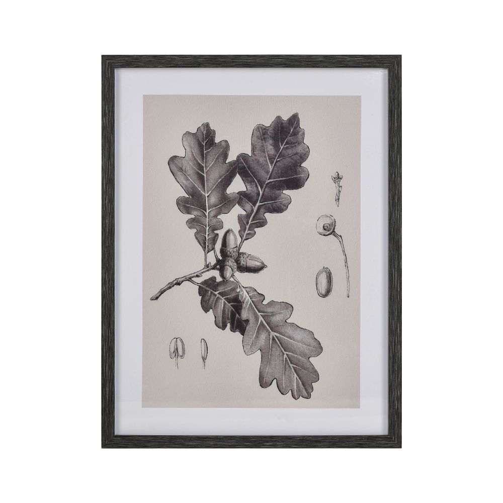 Elk Home S0056-10636 Oak II Botanic Framed Wall Art - Black