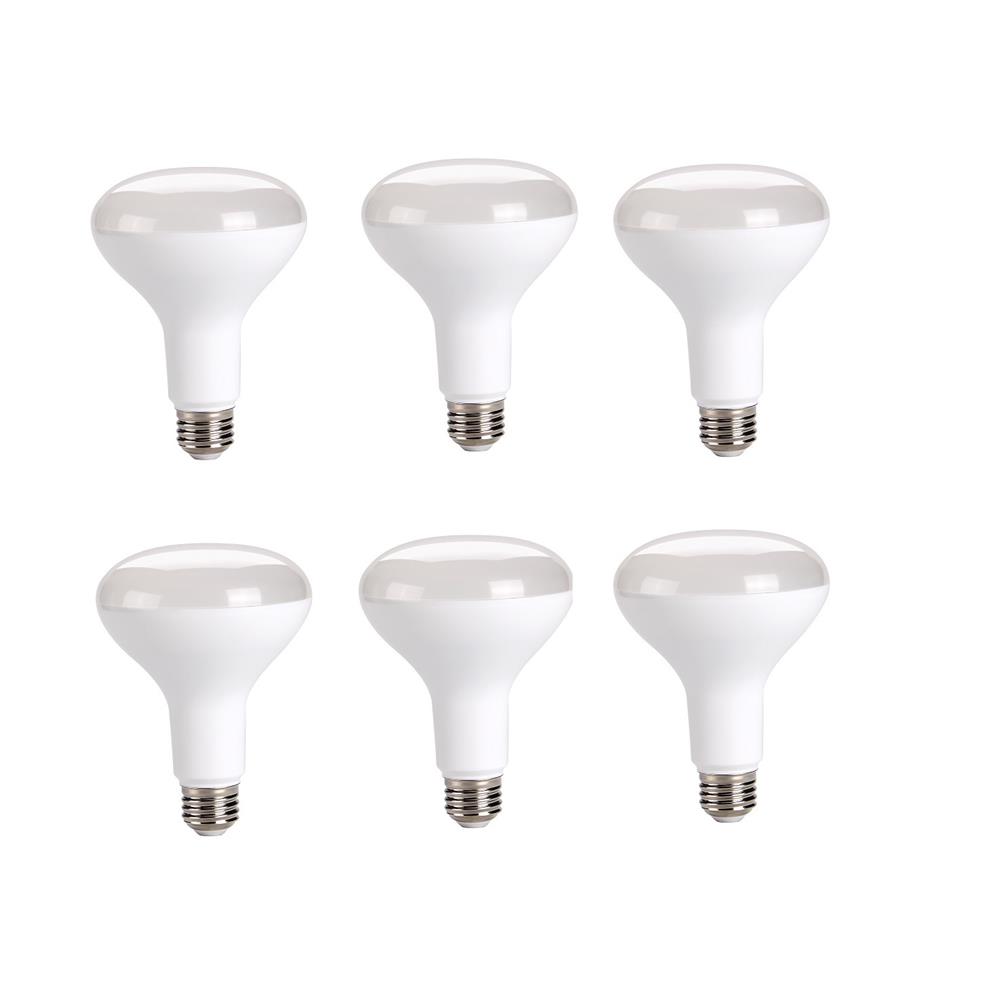 Elitco Lighting BR30LED202-6PK Light Bulb (Pack of 6)
