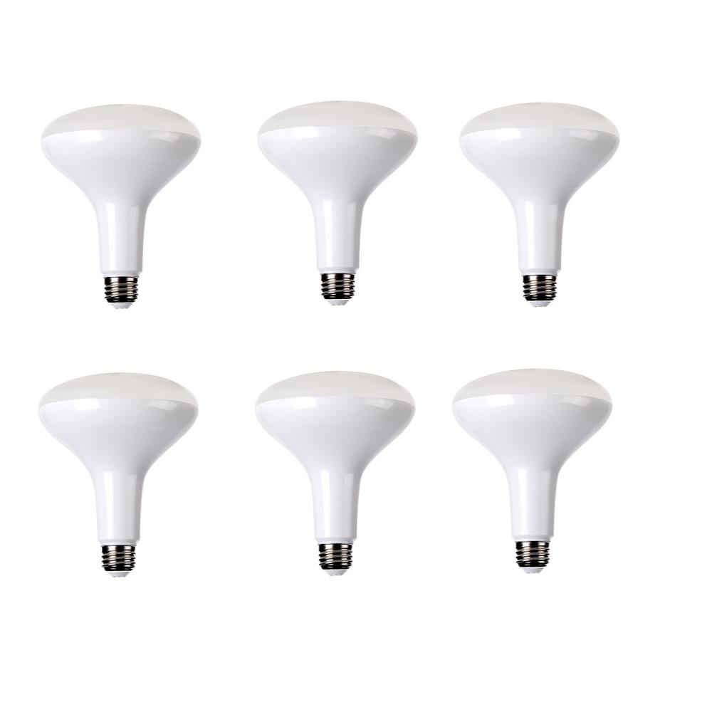 Elitco Lighting BR40LED201-6PK Light Bulb (Pack of 6)
