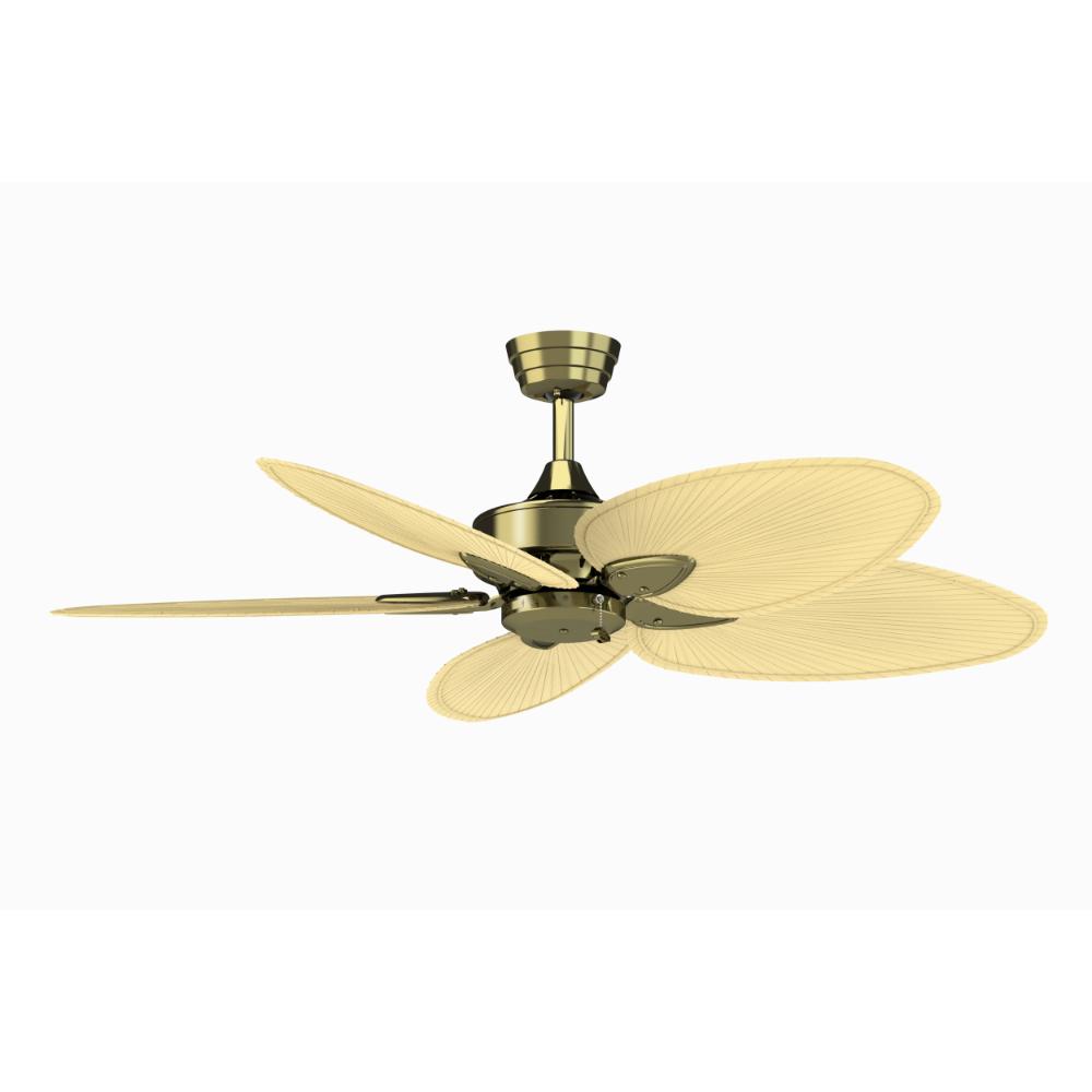 Fanimation FP7500AB WINDPOINTE Uni-pack Fan in ANTIQUE BRASS with NANRROW OVAL NATURAL PALM Blades