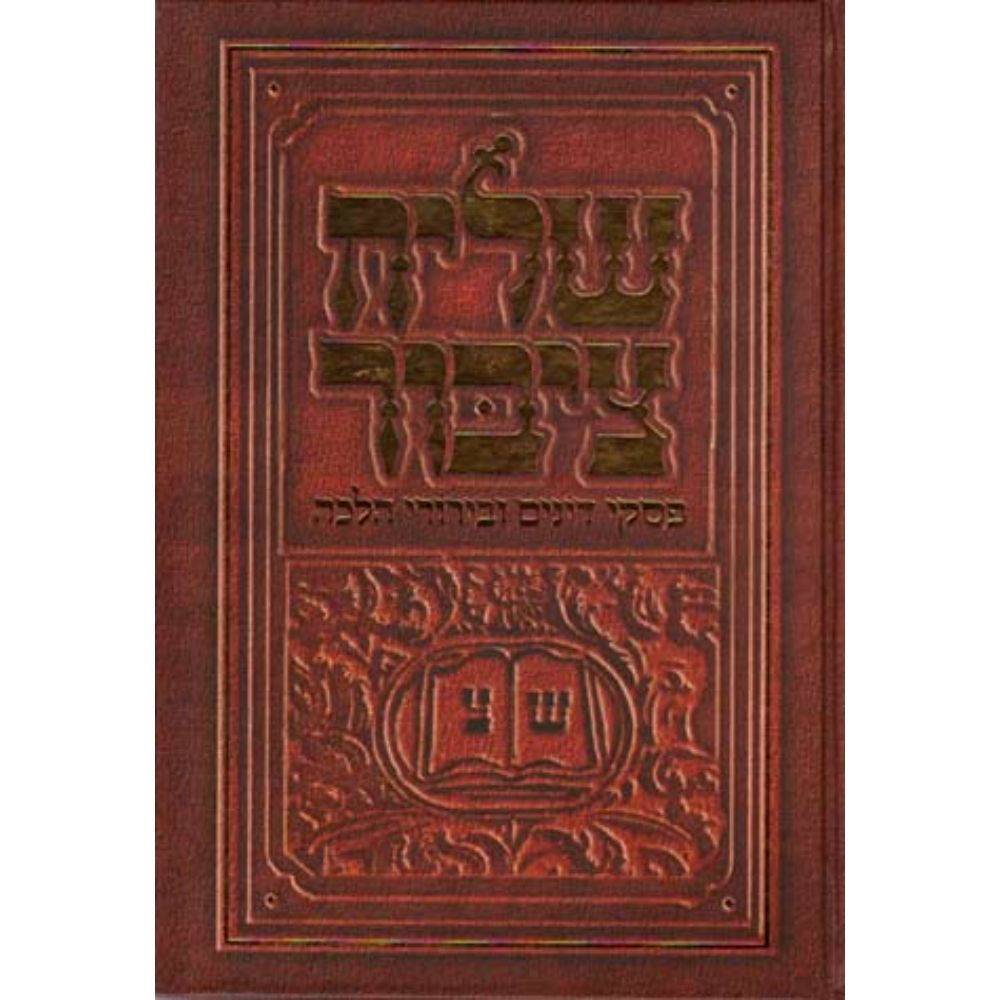 Shliach Tzibur (Hebrew)