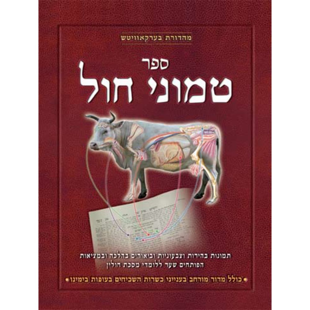 Chullin Illuminated, HEBREW Edition