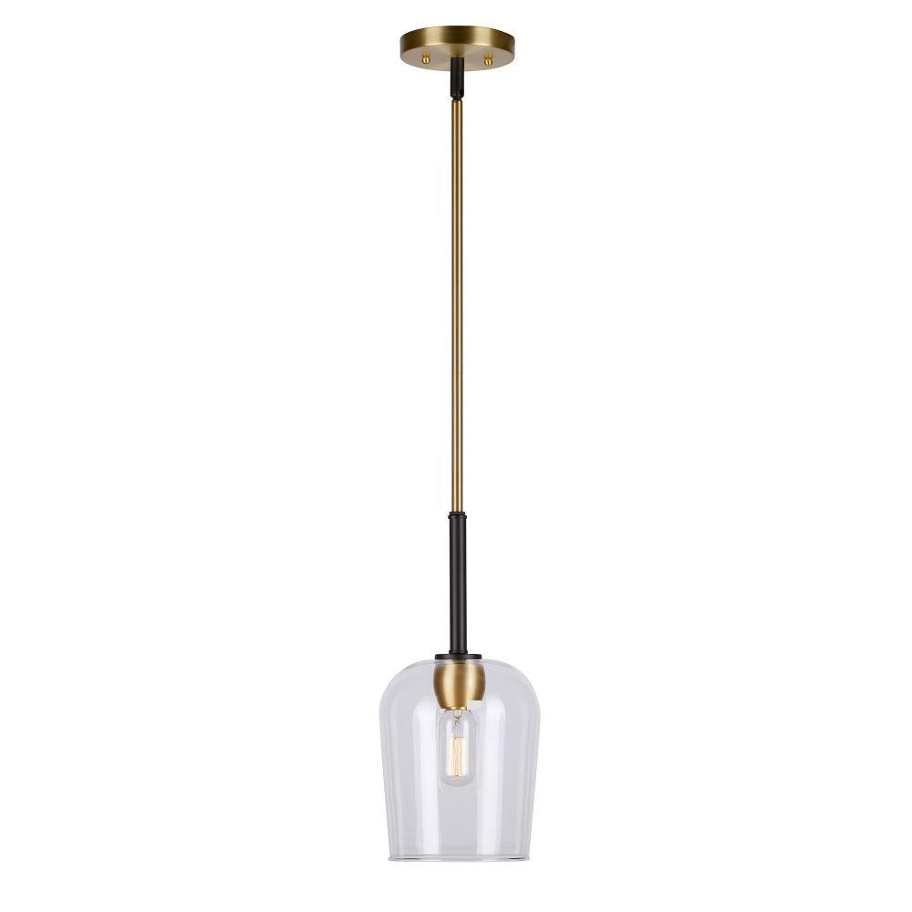Forte Lighting 2726-01-62 1-Light Black and Soft Gold Mini Pendant with Clear Glass