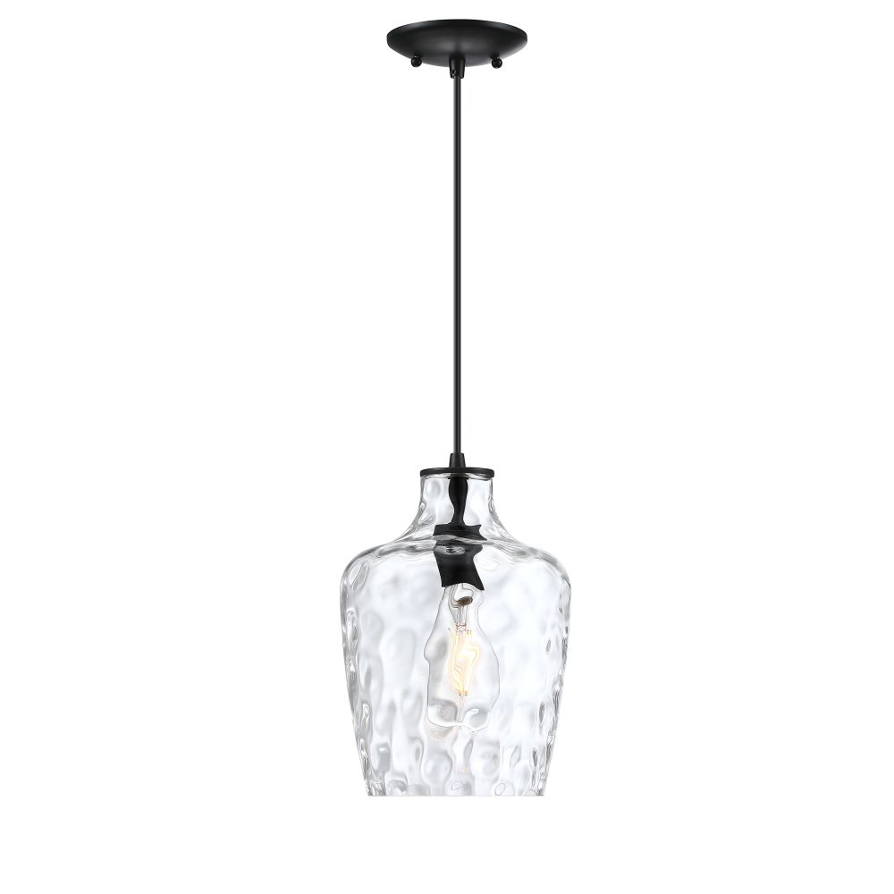 Forte Lighting 2771-01-04 Milo 1-Light Black Pendant with Clear Hammered Glass