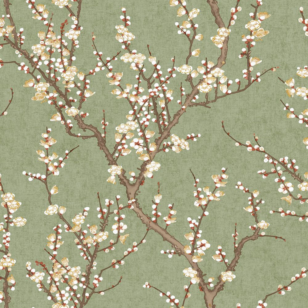 Galerie 1903-4 Sakura Tree wallpaper in Green 