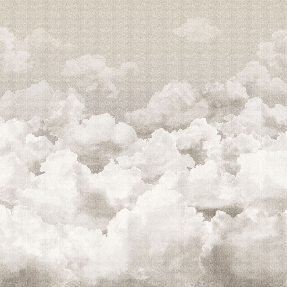 Galerie 26783 Clouds Wallpaper in Taupe Grey