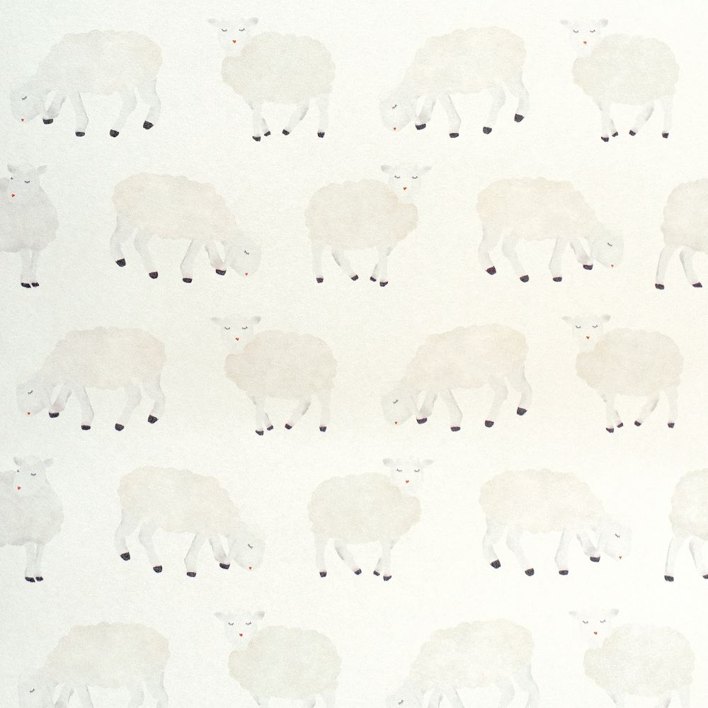 Galerie 26826 Sweet Sheep Wallpaper in White