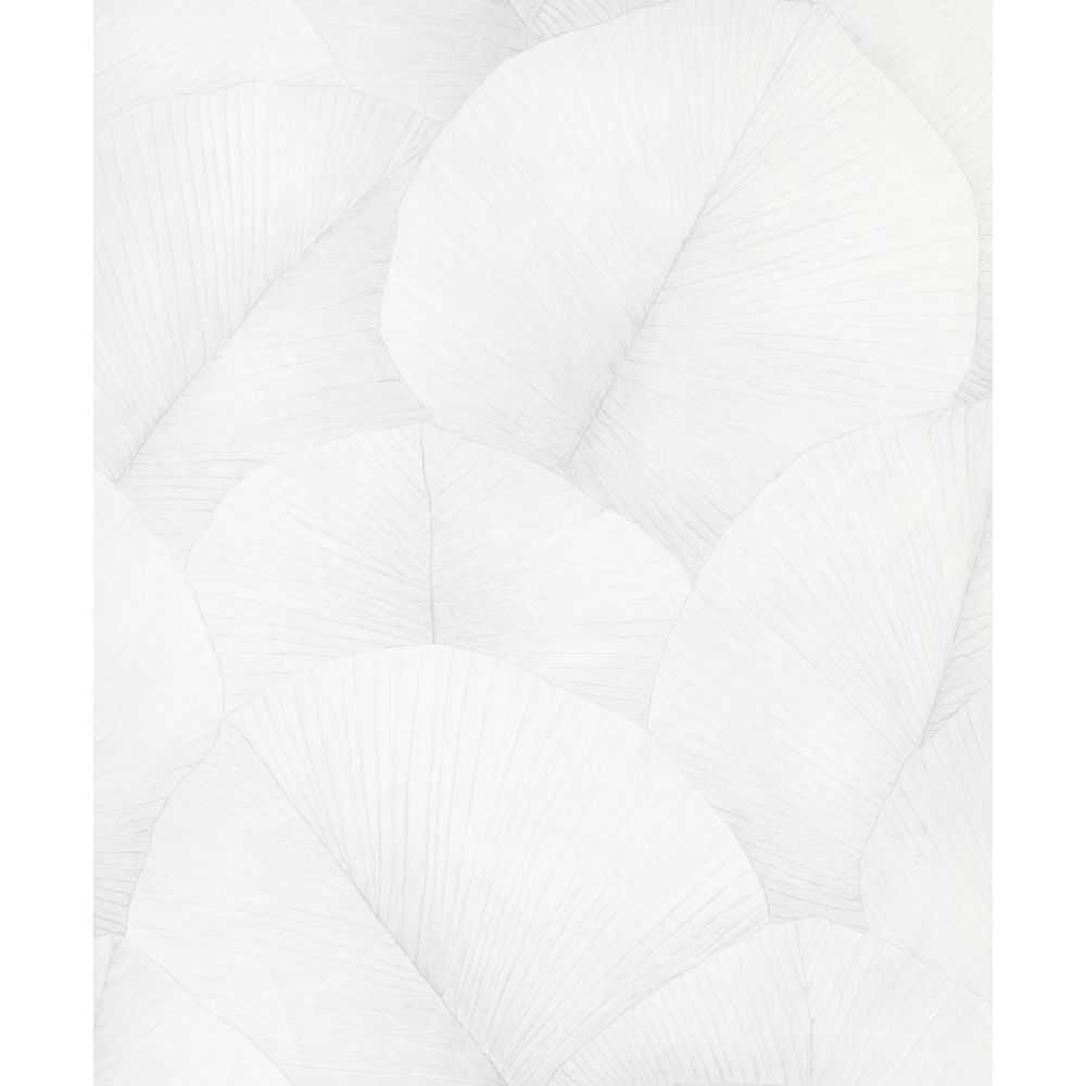 Galerie 34507 Palm Leaf Wallpaper in White