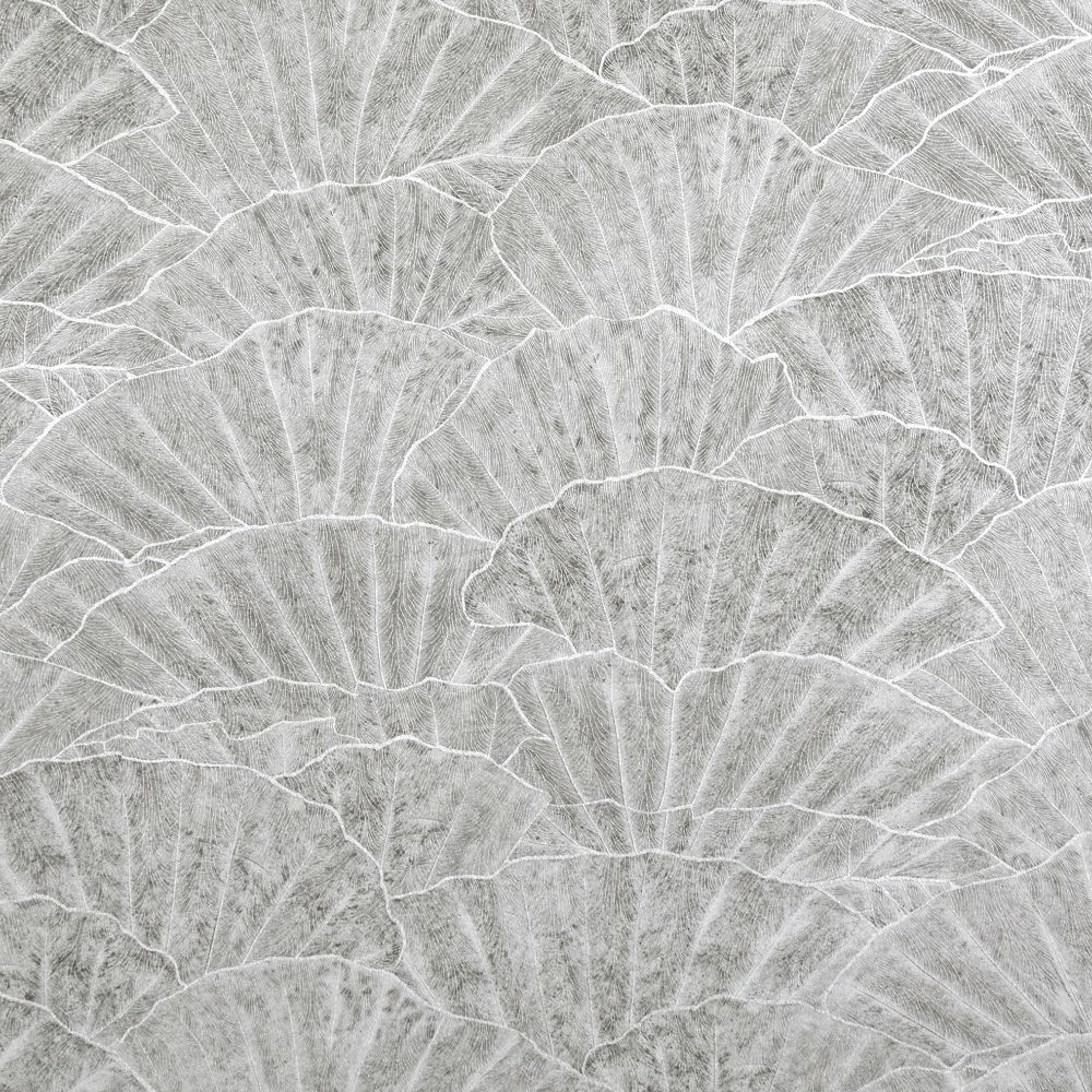 Galerie GH65002-23 Seashell Wallpaper in Cloudy Grey