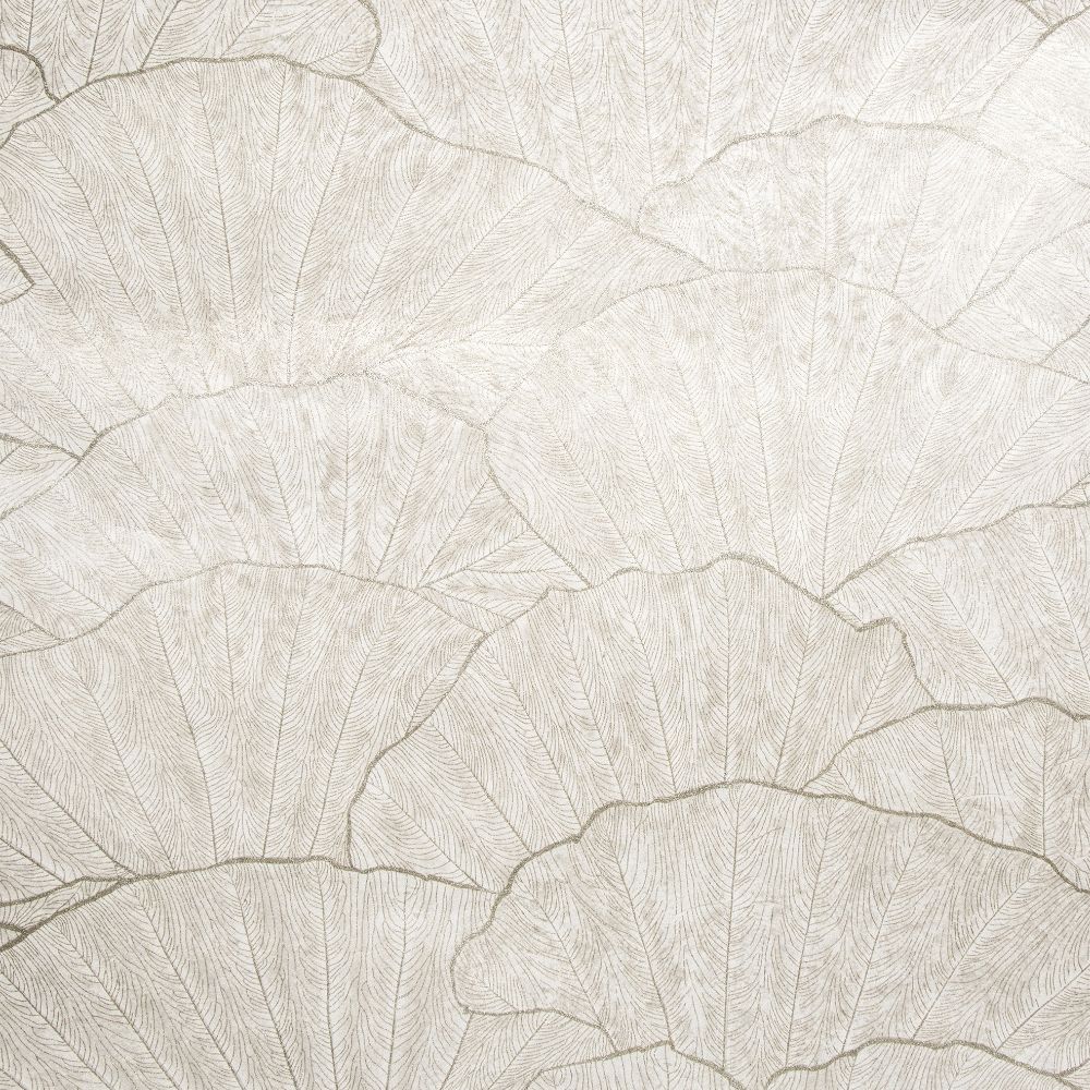 Galerie GH65004-23 Seashell Wallpaper in Old White