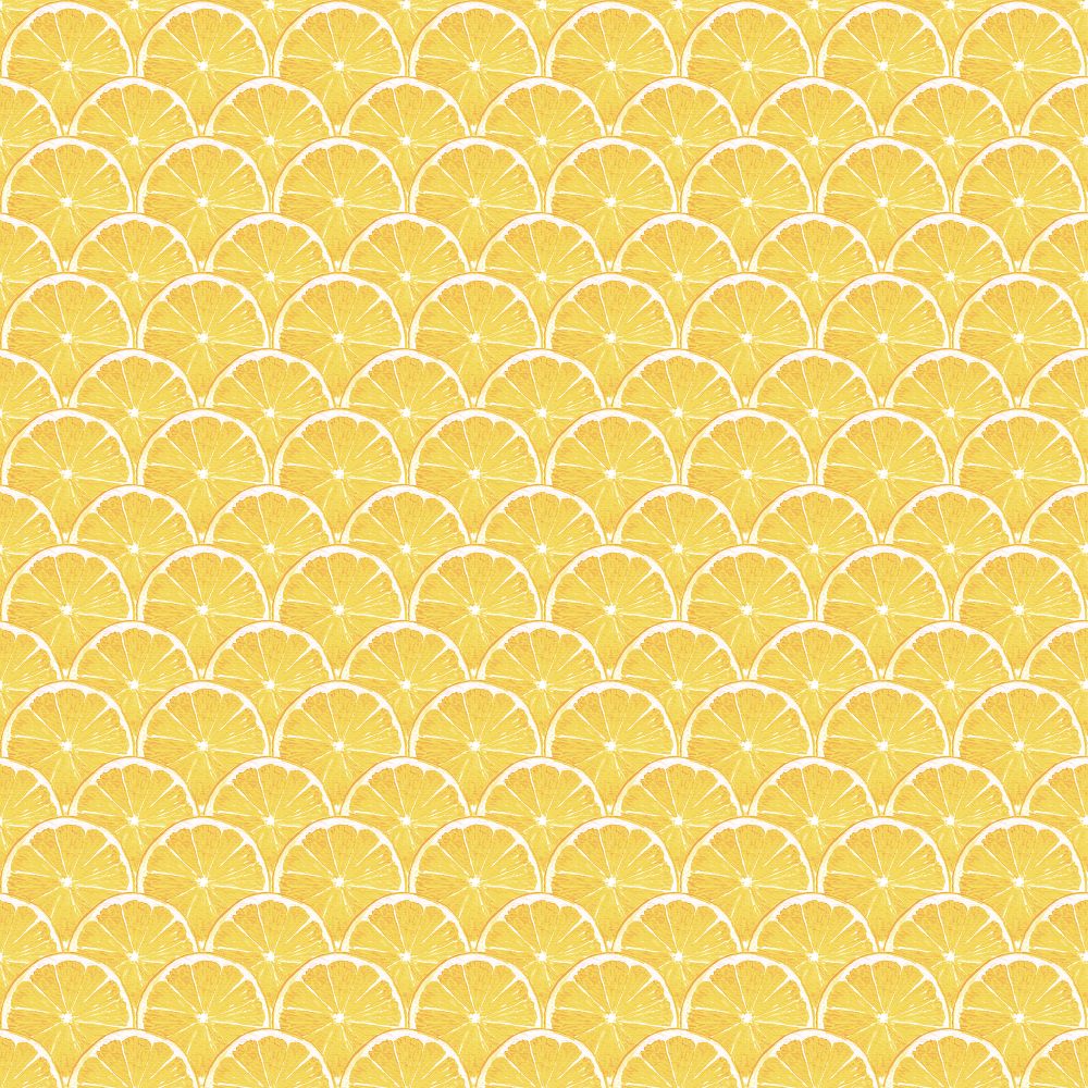 Galerie G45438 Lemon Scallop Wallpaper in Yellow