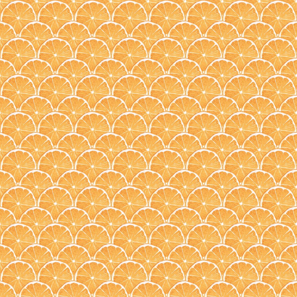 Galerie G45439 Lemon Scallop Wallpaper in Orange