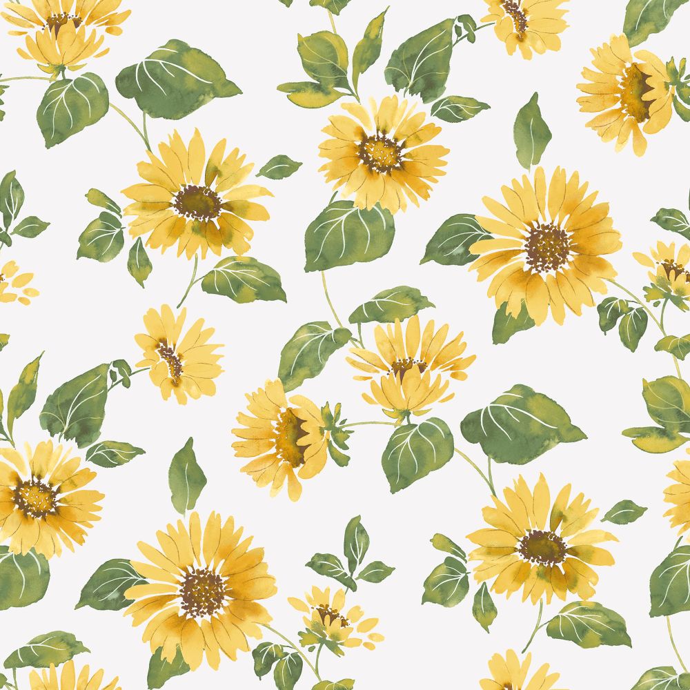 Galerie G45458 Sunflower Trail Wallpaper in Yellow Green White