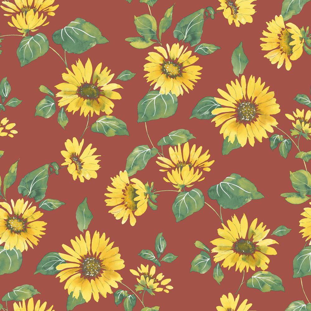 Galerie G45459 Sunflower Trail Wallpaper in Red Yellow