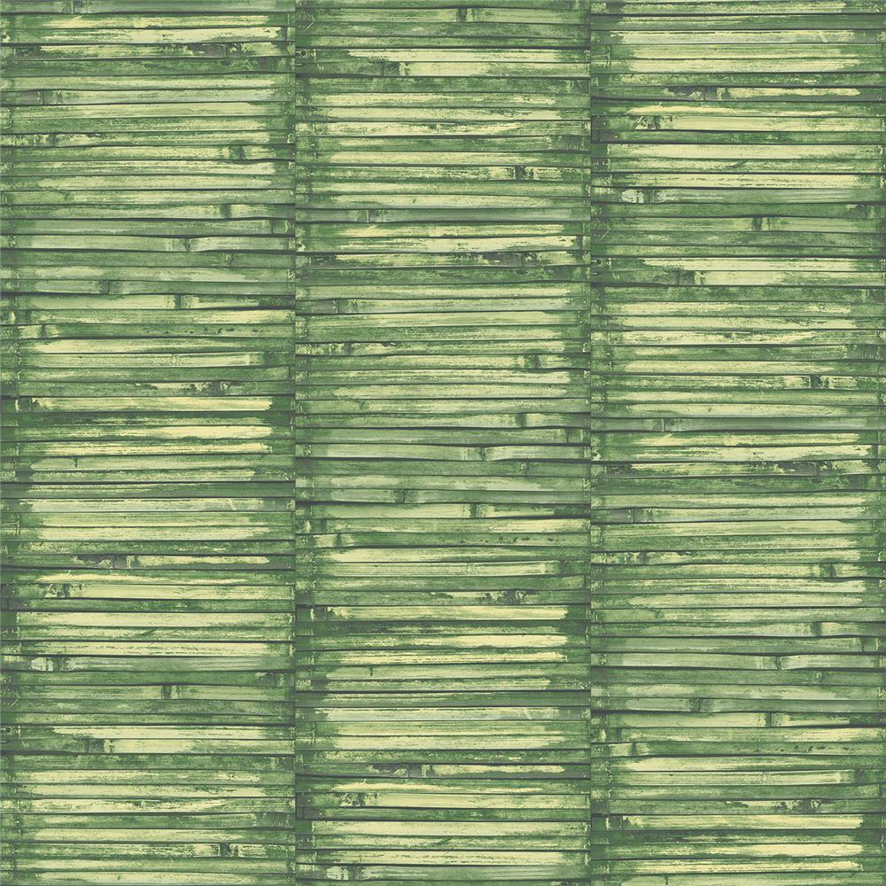 Galerie G56388 Global Fusion Green Wallpaper