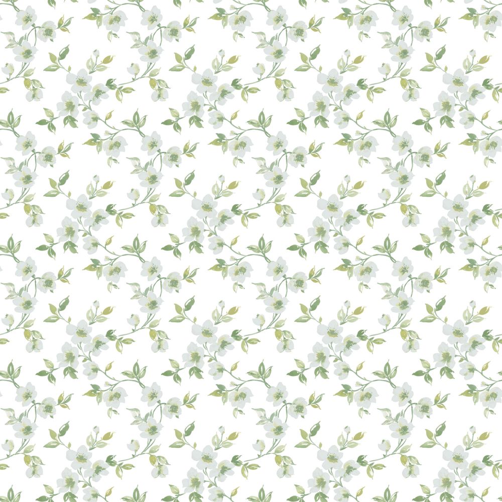 Galerie G78483 Anenome Mini Wallpaper in Duck Egg, Sage Green, White