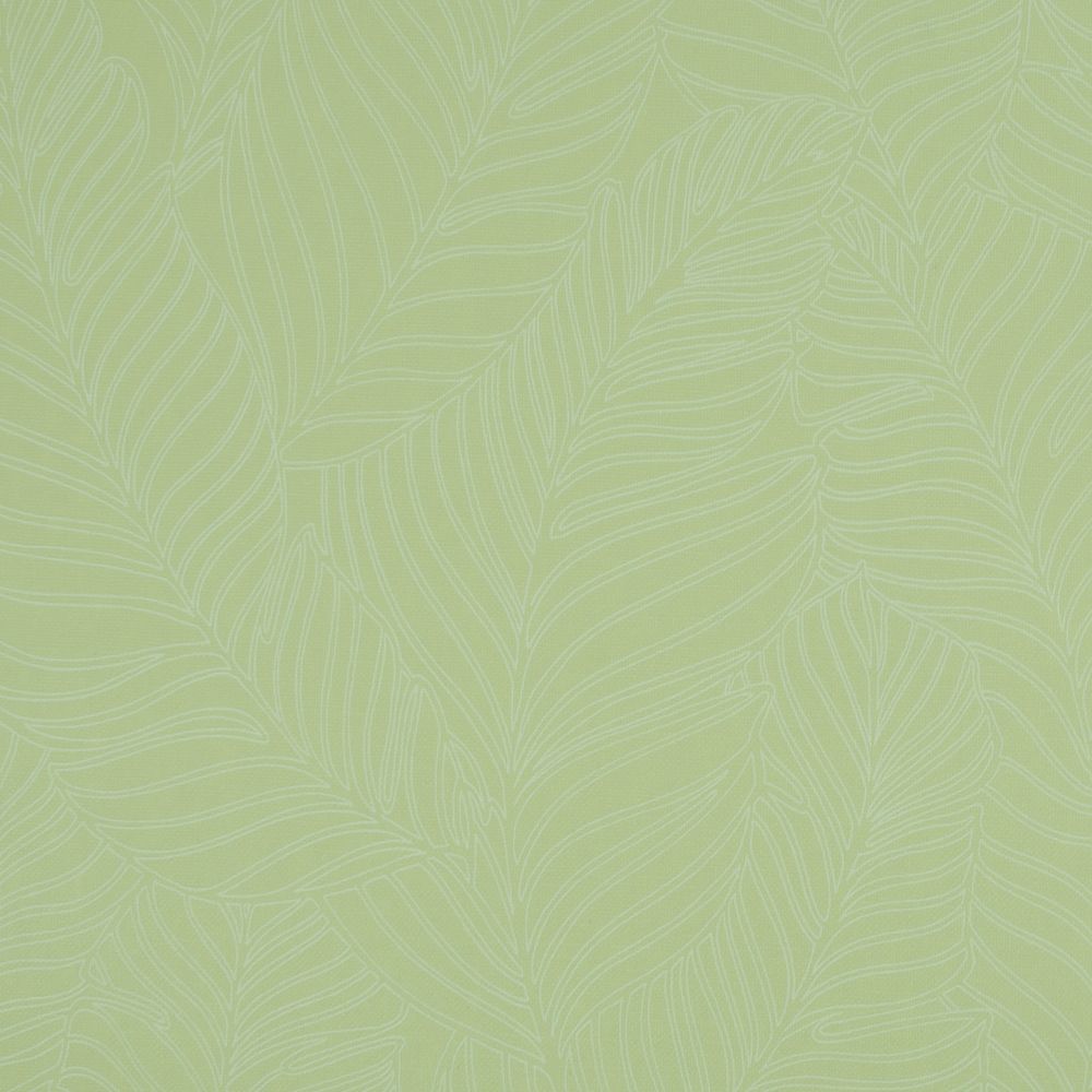 Superfresco Easy 108135 Tropical Leaf All Over Green Removable Wallpaper
