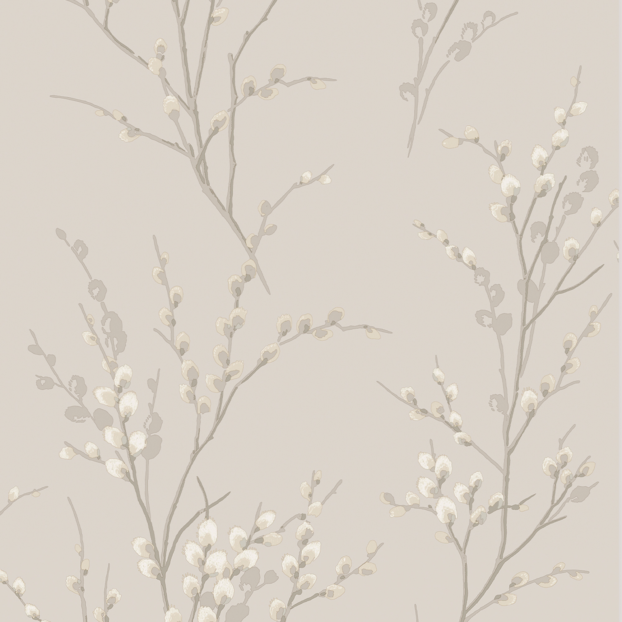 Laura Ashley 113361 Pussy Willow Dove Grey Wallpaper