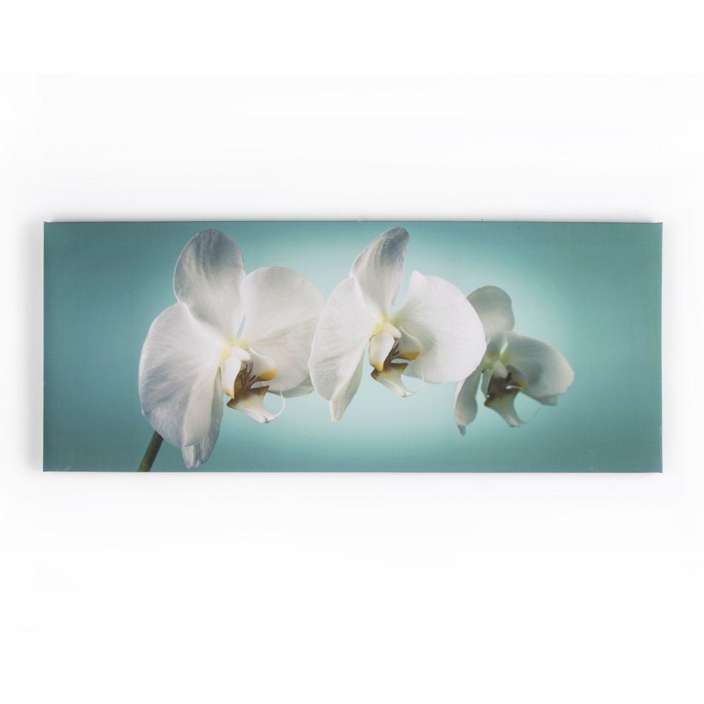 Art For The Home 40-615 Teal Orchid Printed Canvas Wall Art