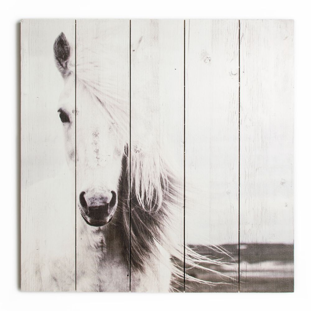 Art For The Home 42-245 Horse Print on Wood Wall Art