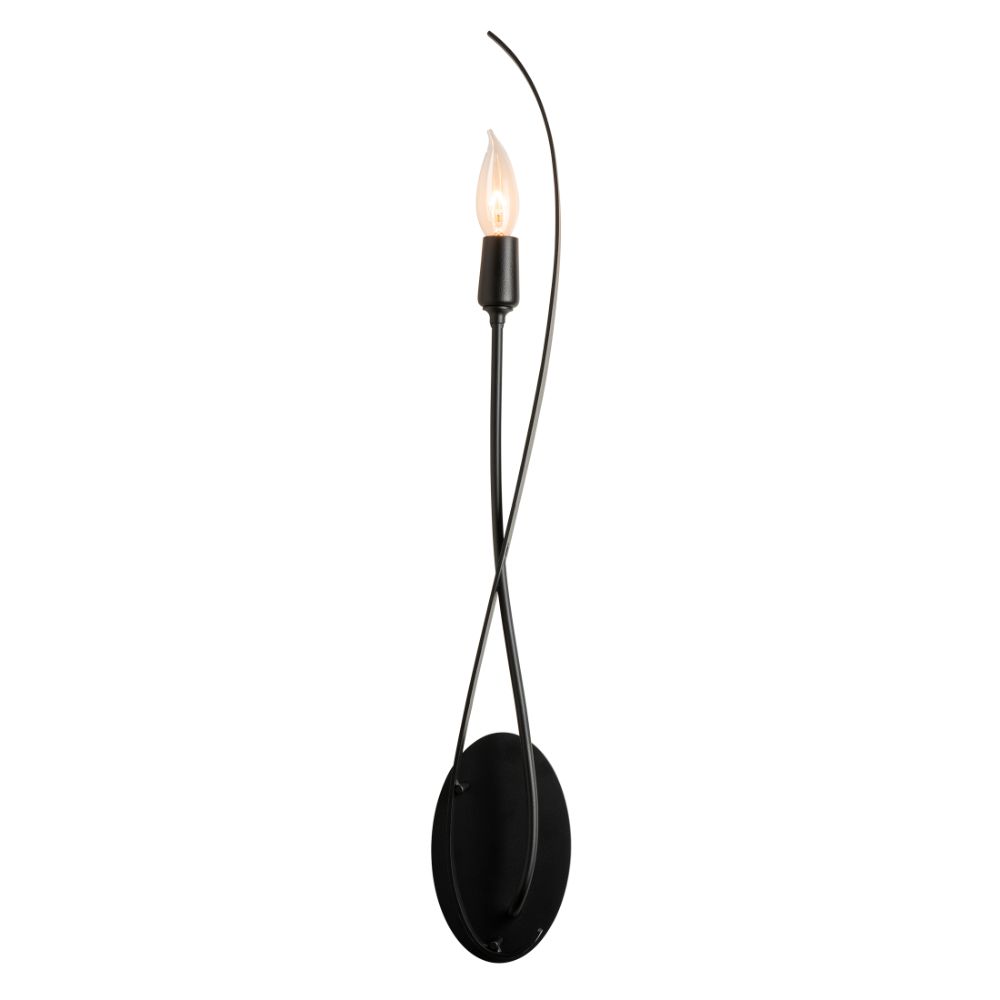 Hubbardton Forge 209120-1001 Willow Sconce in Bronze (05)