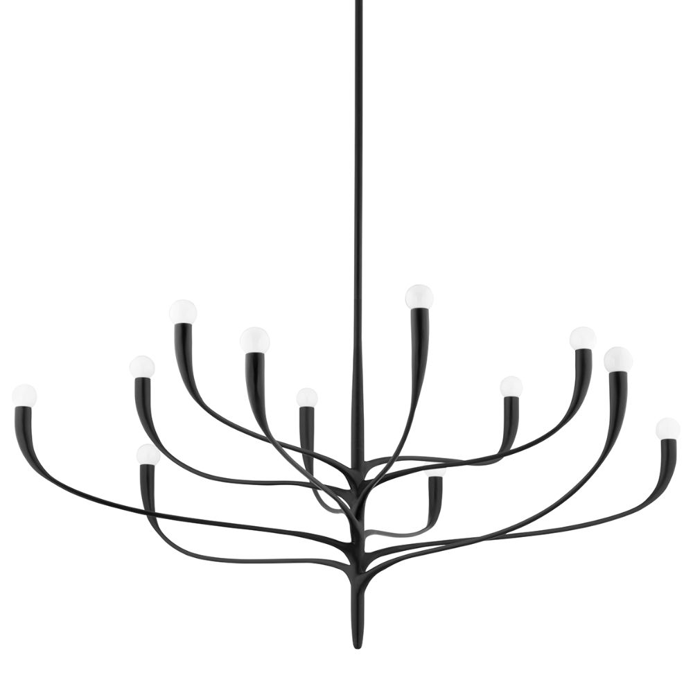 Hudson Valley 9612-AI 12 Light Chandelier in Aged Iron