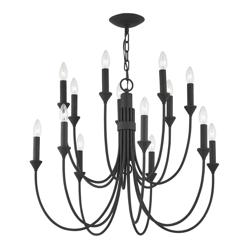 Troy Lighting F1014-for 14 Light Chandelier In Forged Iron