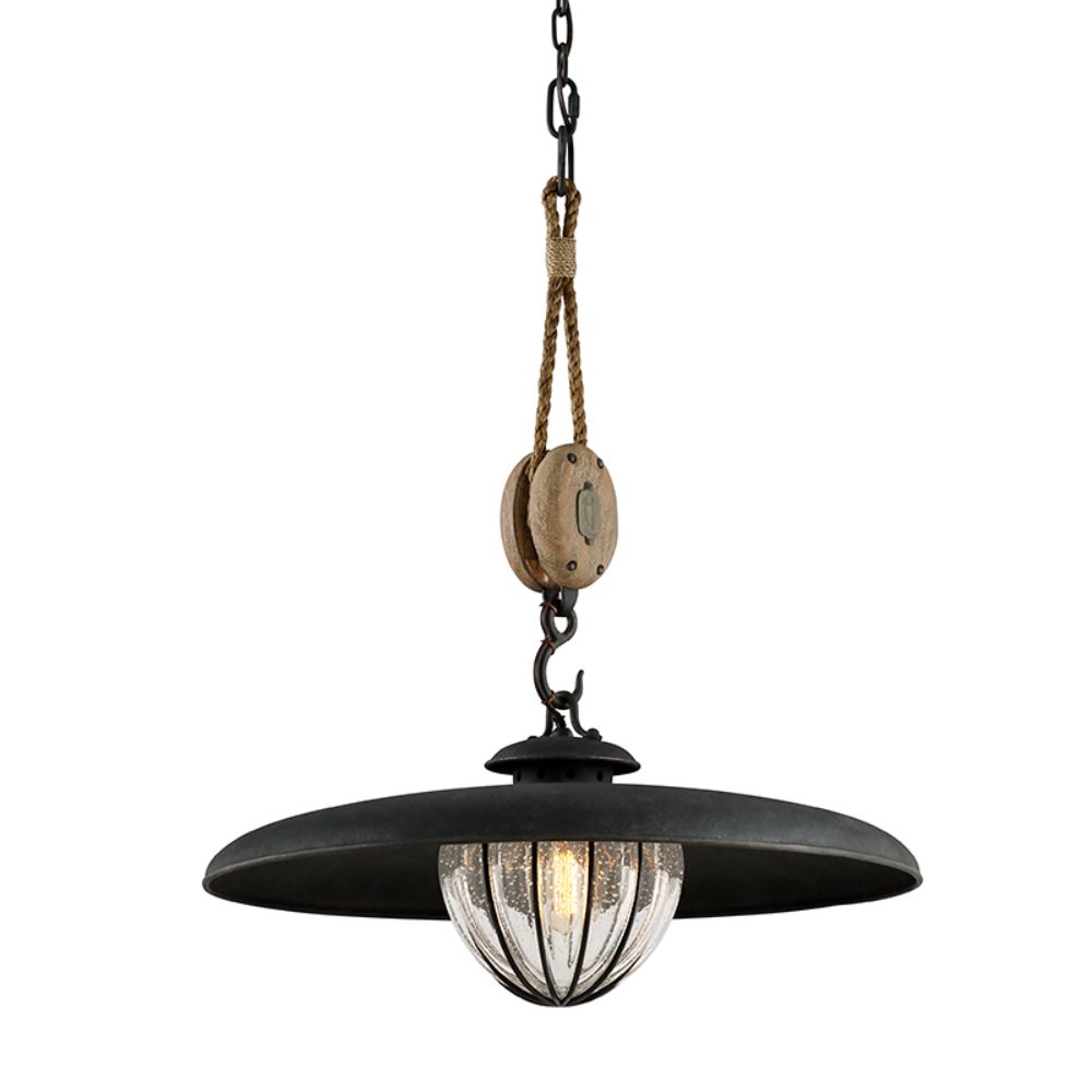 Troy Lighting F4906-FOR Murphy Pendant in Forged Iron