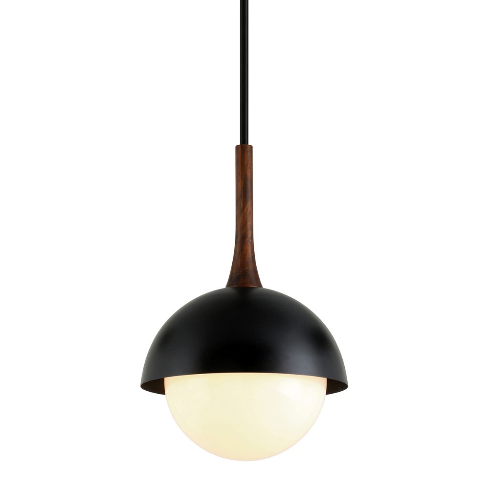 Troy Lighting F7644-SBK Cadet 1lt Pendant in Black And Natural Acacia
