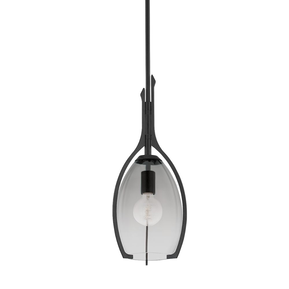 Troy Lighting F8309-FOR 1 Light Small Pendant in Forged Iron