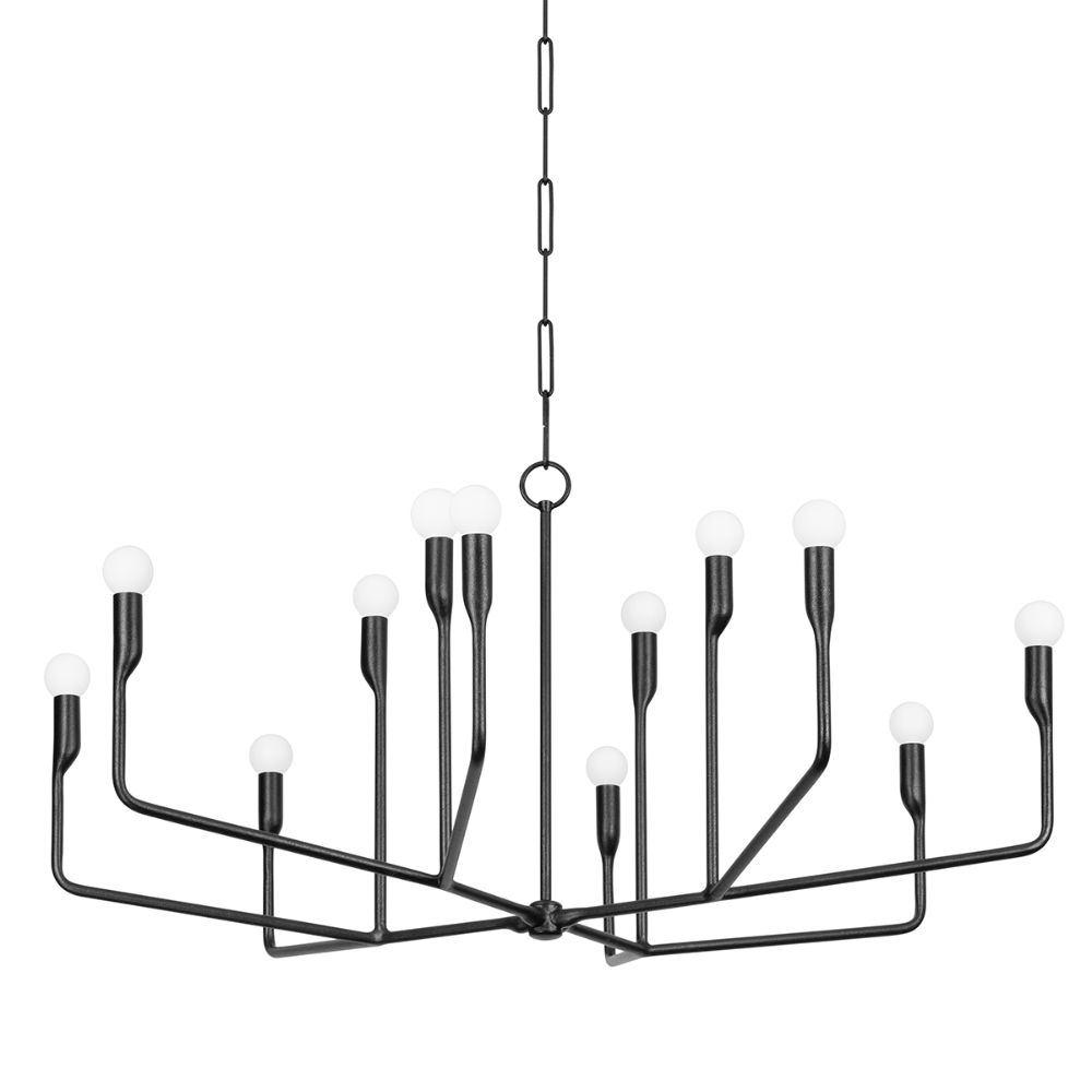 Troy Lighting F9242-FOR Norman 12 Light Chandelier In Forged Iron
