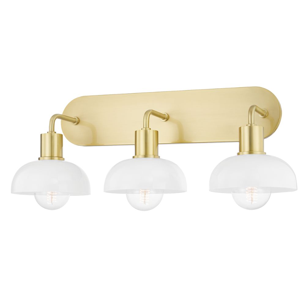 Hudson Valley Lighting 8530-AGB/DB Melbourne Picture Light in Aged Brass/distressed Bronze