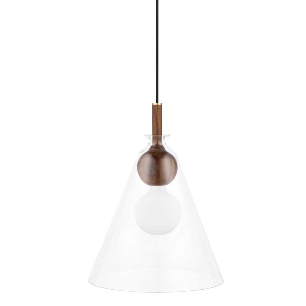 Mitzi by Hudson Valley Lighting H380701A-AGB Dani 1 Light Pendant in Aged Brass with Clear Shade